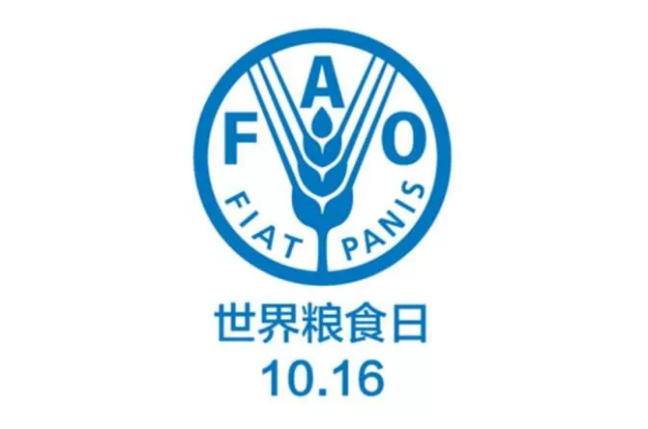 ob�羺��(�й���)���Ӿ���ƽ̨