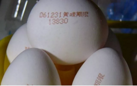 ob�羺��(�й���)���Ӿ���ƽ̨