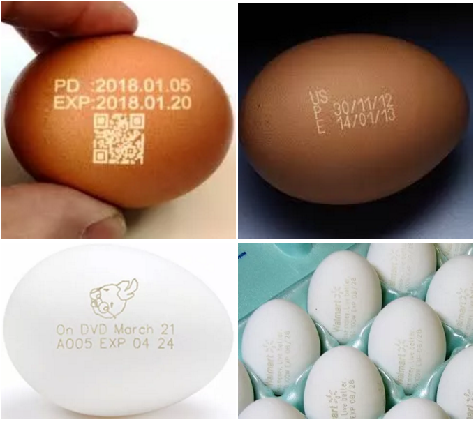 ob�羺��(�й���)���Ӿ���ƽ̨