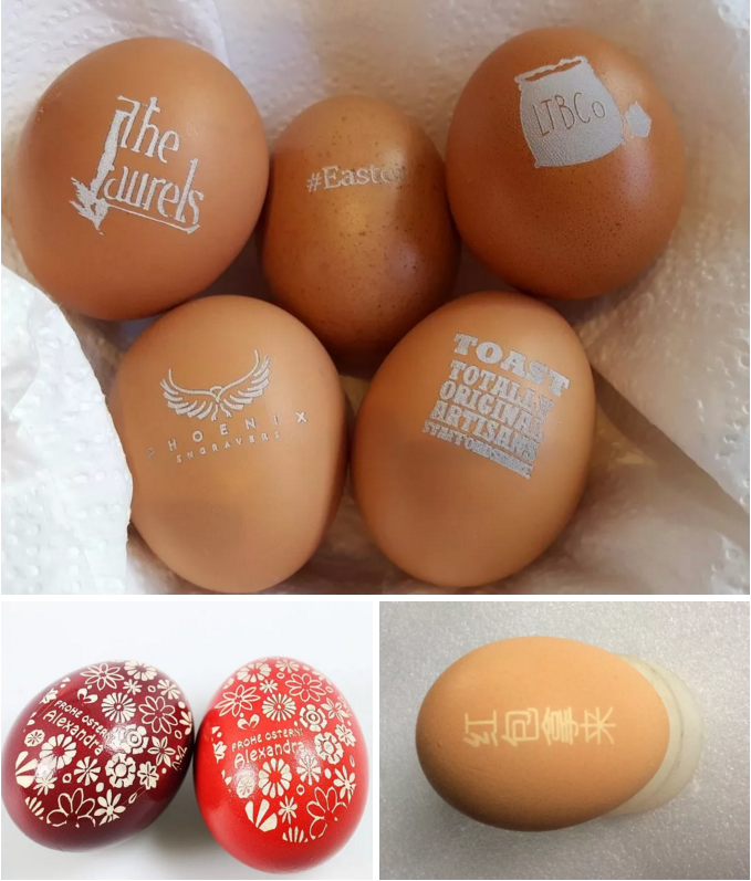 ob�羺��(�й���)���Ӿ���ƽ̨