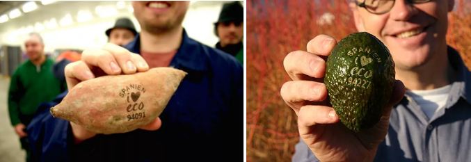 ob�羺��(�й���)���Ӿ���ƽ̨