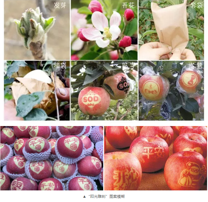 ob�羺��(�й���)���Ӿ���ƽ̨