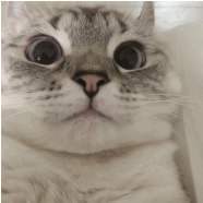 ob�羺��(�й���)���Ӿ���ƽ̨