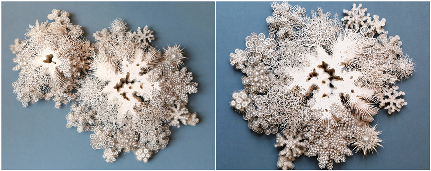 ����ֽ������,ֽ��