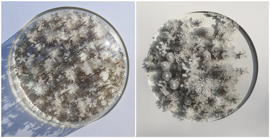 ֽ��,�����ֽ