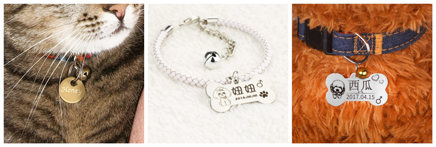 �������Ƽ�����