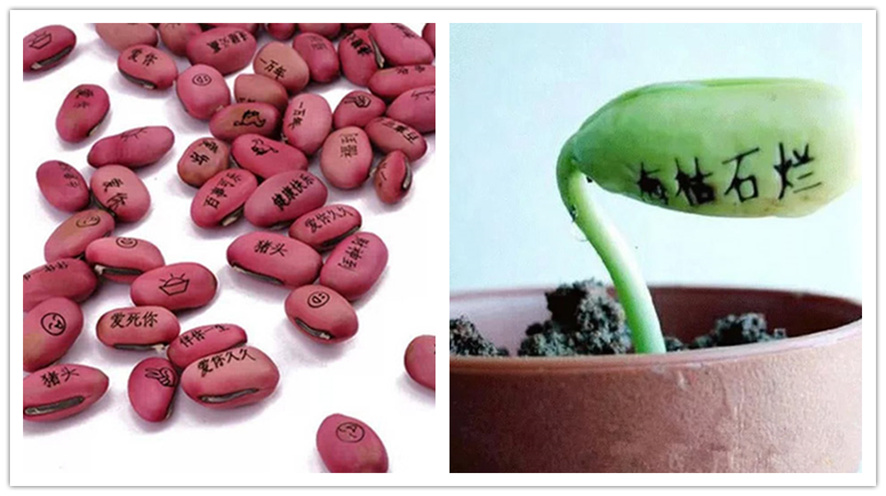 ������ħ��,ħ���������,����ħ�����