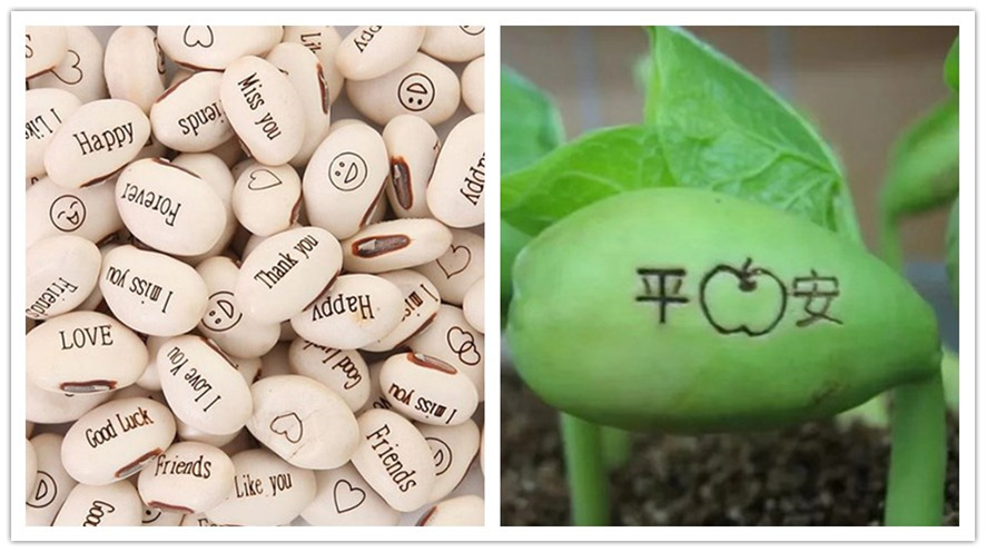 ������ħ��,����ħ�����