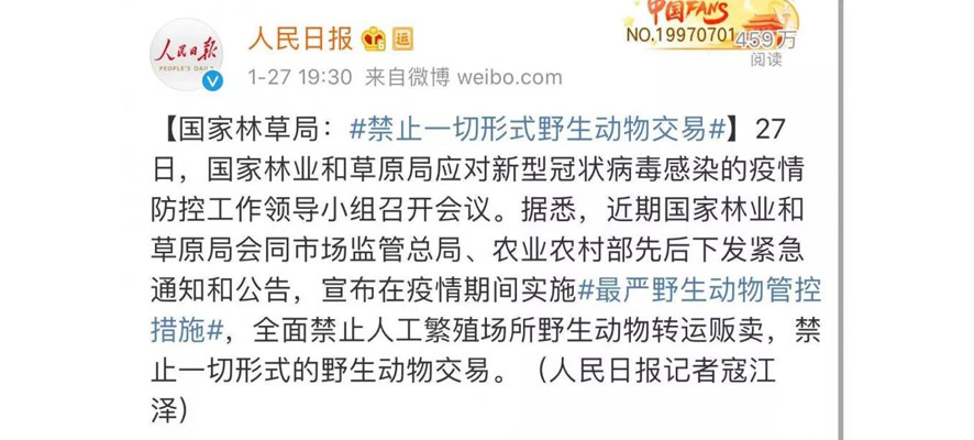 �����ձ�����