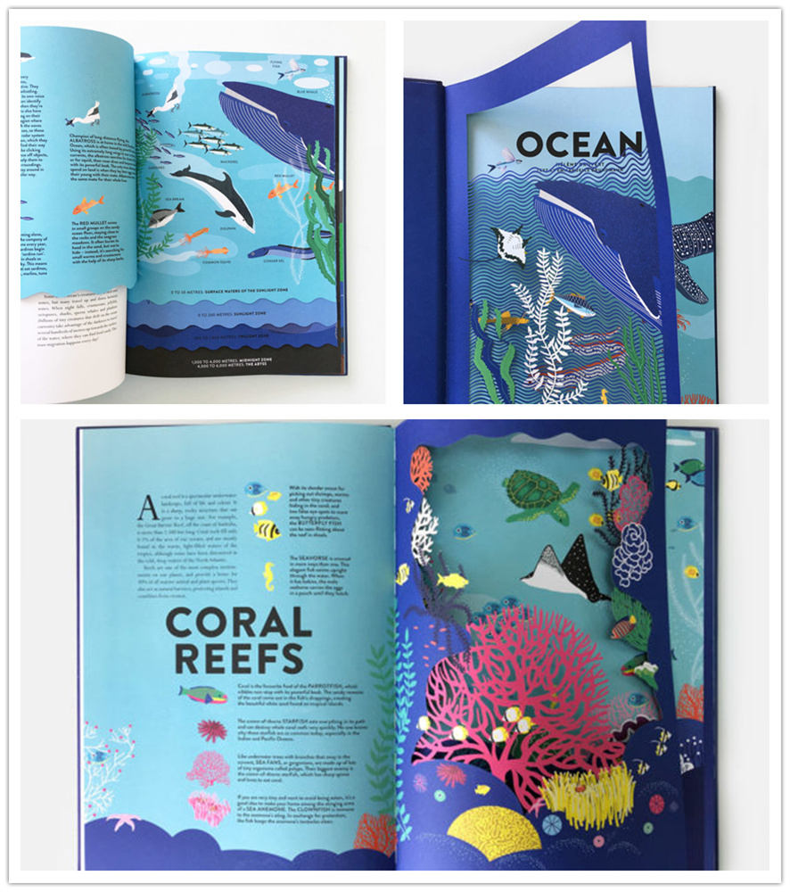 �����οջ汾,�����и��鼮