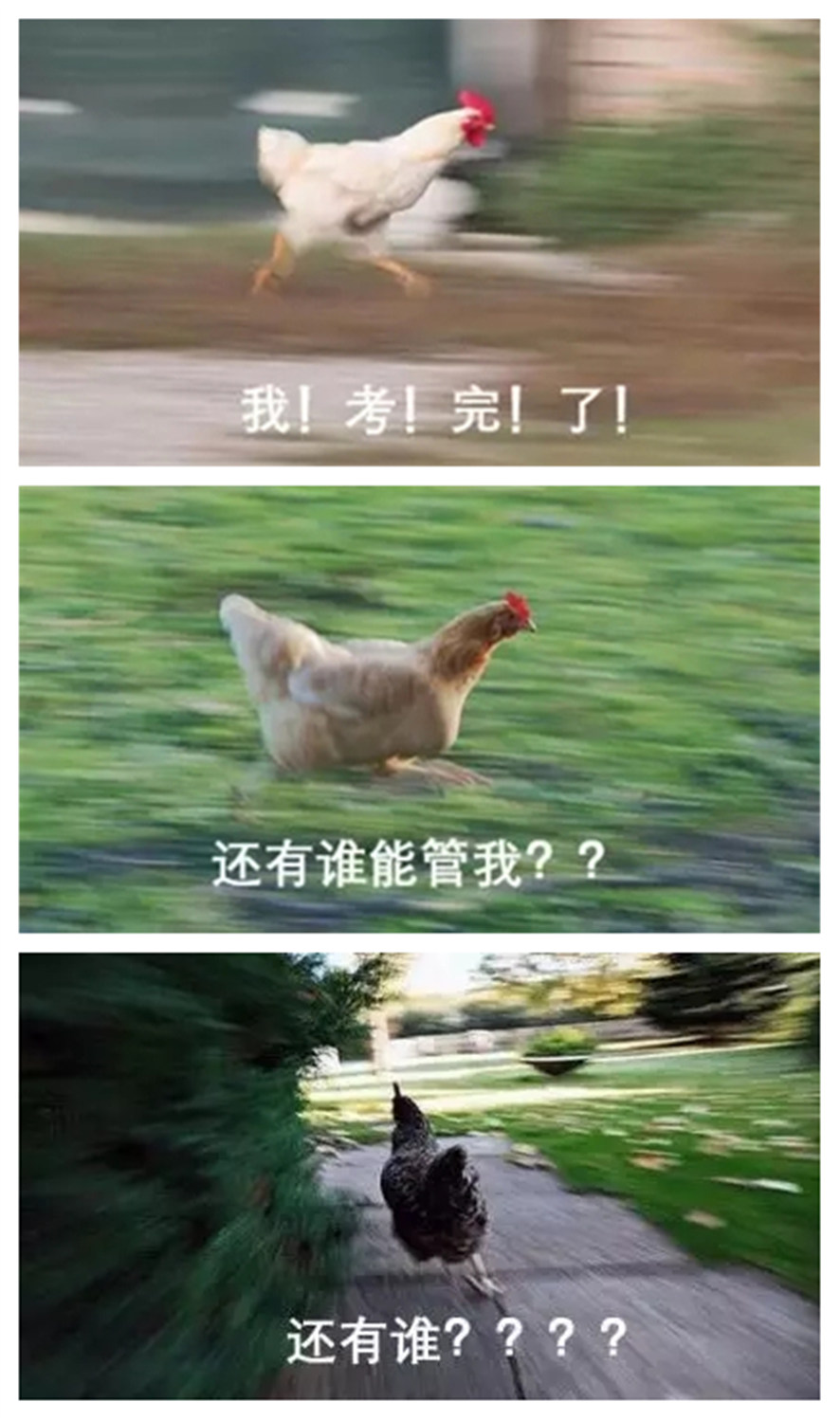 �羺���������������������ܼ�