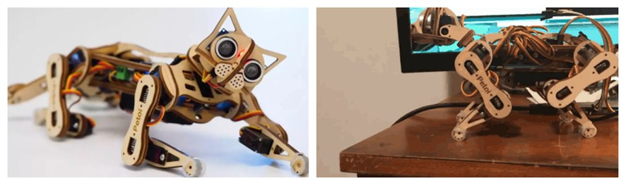 ob�羺��(�й���)���Ӿ���ƽ̨