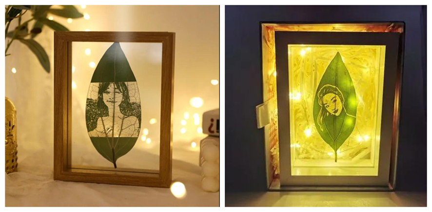 ob�羺��(�й���)���Ӿ���ƽ̨