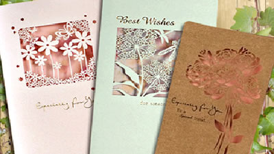 ob�羺��(�й���)���Ӿ���ƽ̨