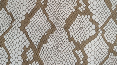 ob�羺��(�й���)���Ӿ���ƽ̨