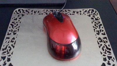 Ƥ�������и�