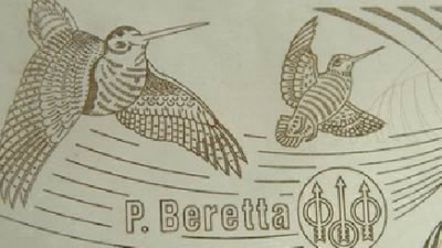 װ��ľ�弤���