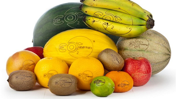 ob�羺��(�й���)���Ӿ���ƽ̨