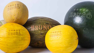 ʳ�Ｄ�����,ʳ�Ｄ����,������ʳ��