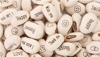 ������ħ��,ħ���������,����ħ�����