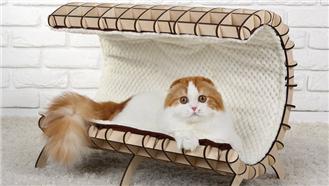 CO2�����и��,è�Ѽ����и�ӹ�,è�Ѽ������