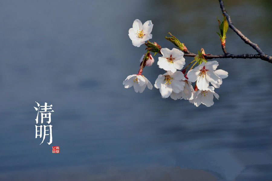 ob电竞·(中国游)电子竞技平台