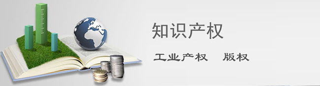 知识产权；；；