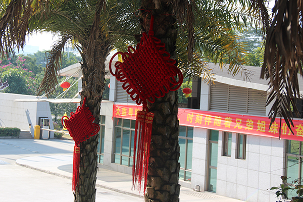 富家激光,ob电竞