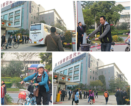 ob电竞鸡年大吉