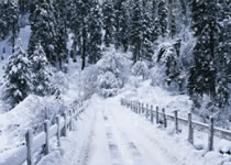 冬至大如年，，，，，，，富家ob电竞集团祝您冬至快乐！