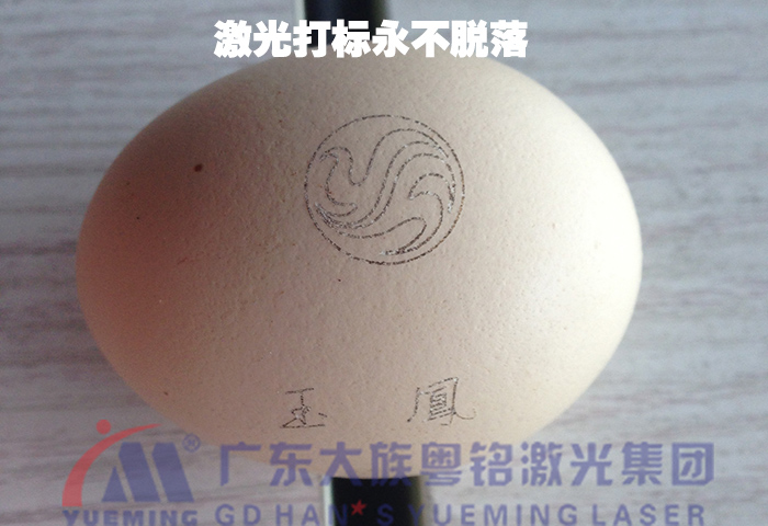 鸡蛋的细腻激光标记，，，，，，你相识吗？？？？？？？？