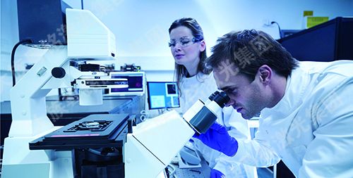 研发实力-ob电竞