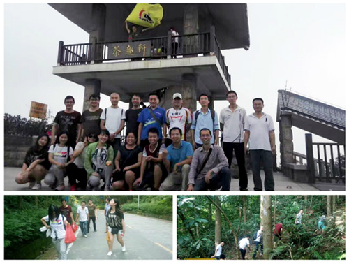 富家ob电竞集团,富家ob电竞,富家,ob电竞