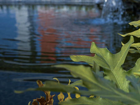 ob电竞·(中国游)电子竞技平台