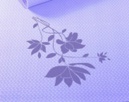 ob电竞·(中国游)电子竞技平台