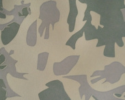 ob电竞·(中国游)电子竞技平台