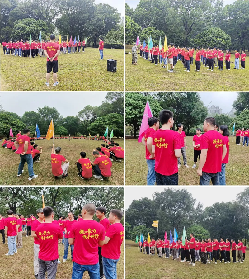 ob电竞·(中国游)电子竞技平台